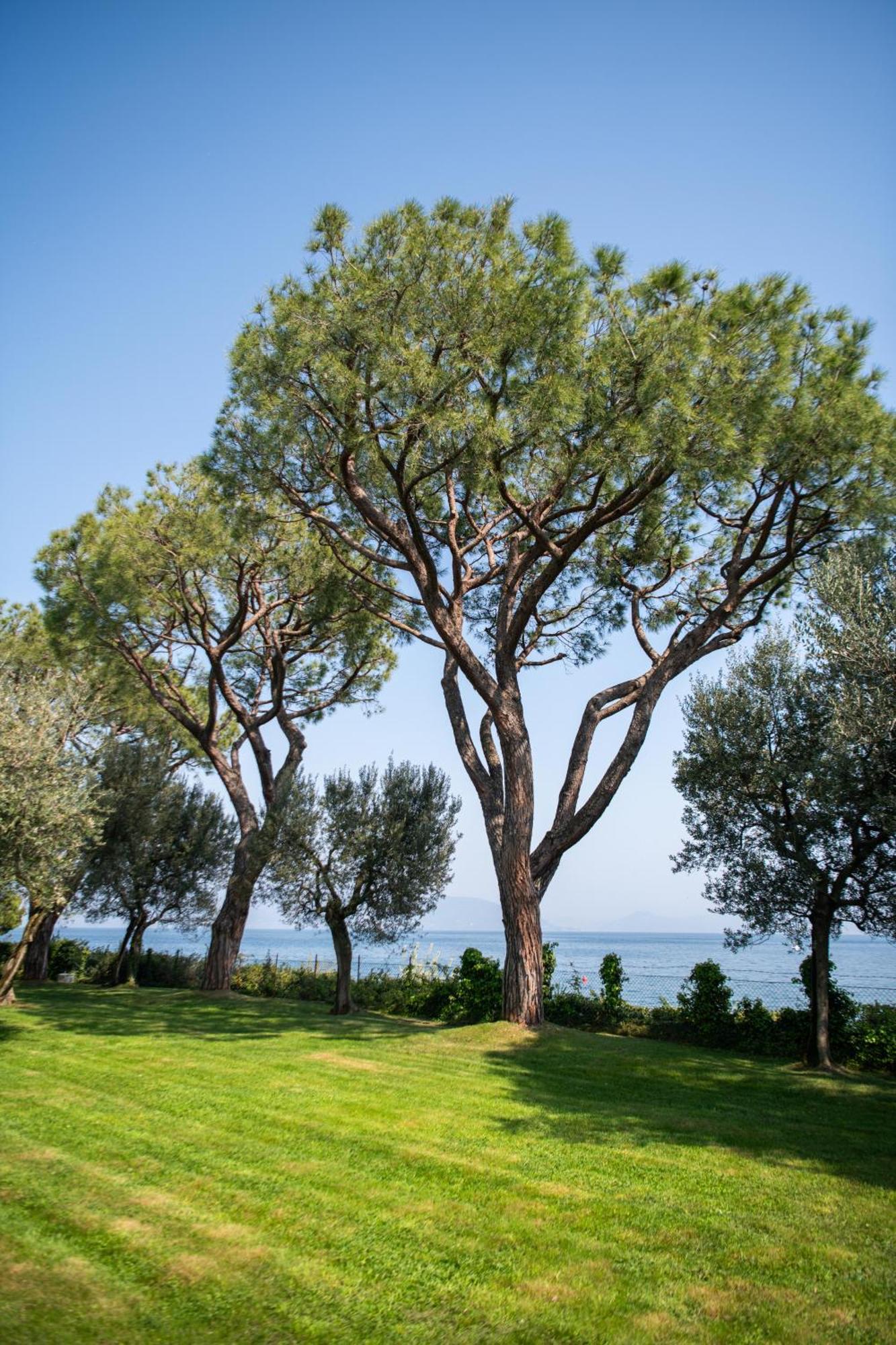 Villa Elena Manerba del Garda Esterno foto